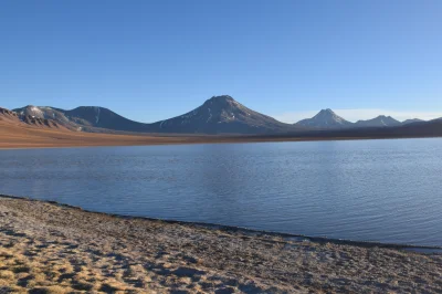 jesionka - @Nedved: Zdjęcie zrobione w okolicach Laguna Lejía na Atacamie. Od lewej w...