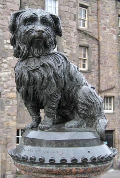 Gother - Dokładnie 144 lata temu zmarł Greyfriars Bobby, który czuwał przez 14 lat pr...