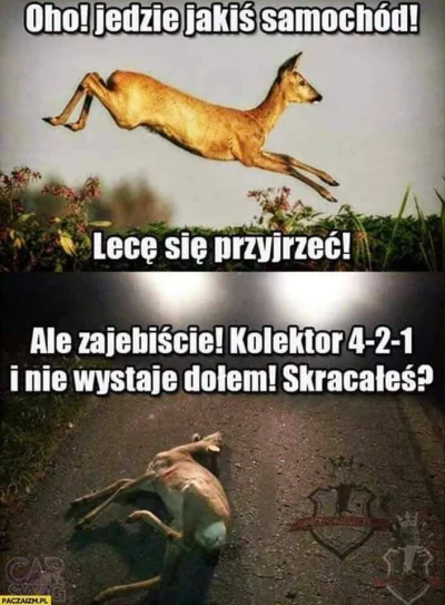 BiletNaKrucjate - XDD
#motoryzacja #mechanikasamochodowa #heheszki