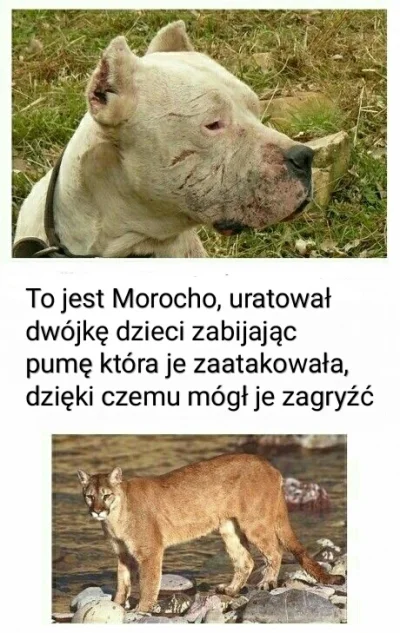 KrzysztofMarkowicz