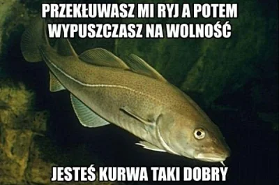 x82828 - #heheszki #humorobrazkowy