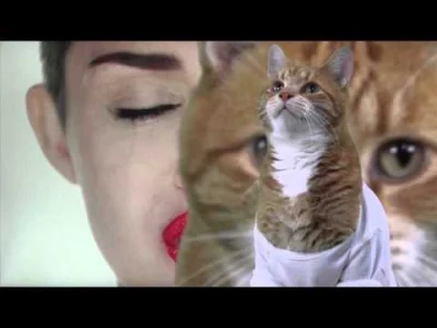 Napleton - #koty #kot #mileycyrus #keyboardcat #smieszne