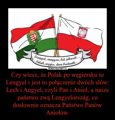 LetMe2_Be - @ZaczarowanyCzarodziej: CO za Pelikany