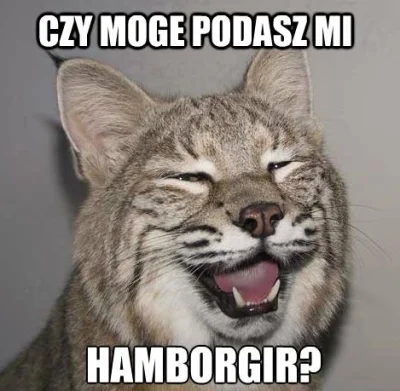 SteveDogs - d

#koty #smiesznypiesek #hamborgir