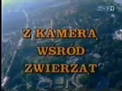 splasz - Z kamerą wśród zwierząt



#gimbynieznajo