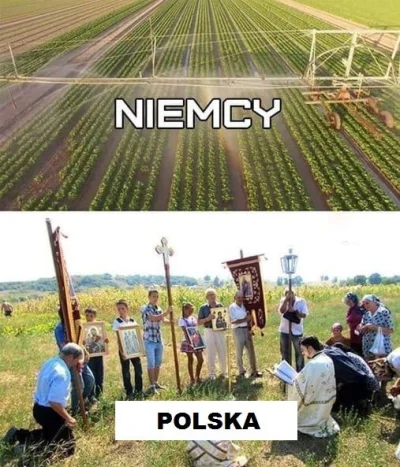 StaryWilk - >Susza w Polsce.
