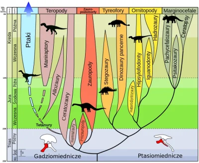 orkako - Nowy podział zakłada, że teropody (raporty, tyranozaury itp) były spokrewnio...