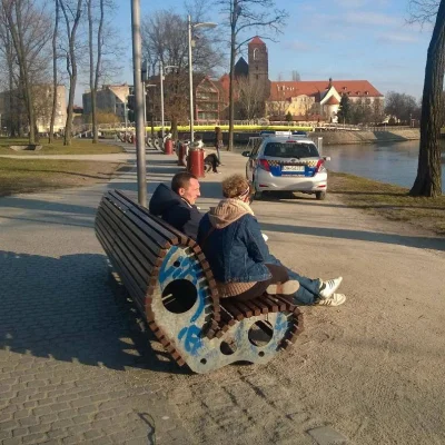 szoorstki - Czy SM ma prawo samochodem jeździć po chodnikach? #kiciochpyta #strazmiej...