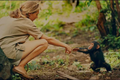 fidelxxx - @myszczur: Jane Goodall