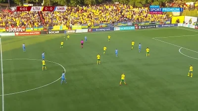 S.....T - Ołeksandr Zinczenko, Litwa 0:[1] Ukraina
#mecz #golgif