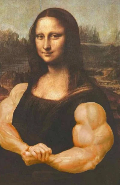 Birbirgo13 - Mona Lisa ma sterydach (1503) 

#heheszki #humorobrazkowy #mirkokoksy