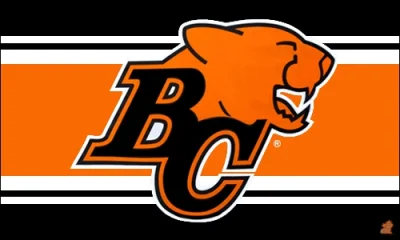 p.....k - Ich logo kojarzy mi się z BC Lions