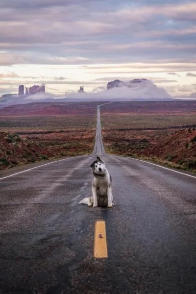 Mesk - Monument Valley, Kolorado #usa 
#infrastrukturanadzis #smiesznypiesek #psy #e...