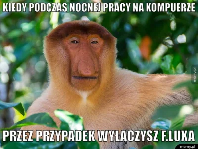 FoxX21 - #humorinformatykow #polak #heheszki #humorobrazkowy