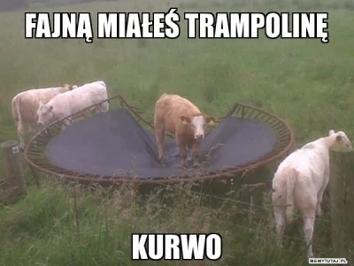 SPK - Dawno nie było ( ͡° ͜ʖ ͡°)
#heheszki #krowa #trampolina