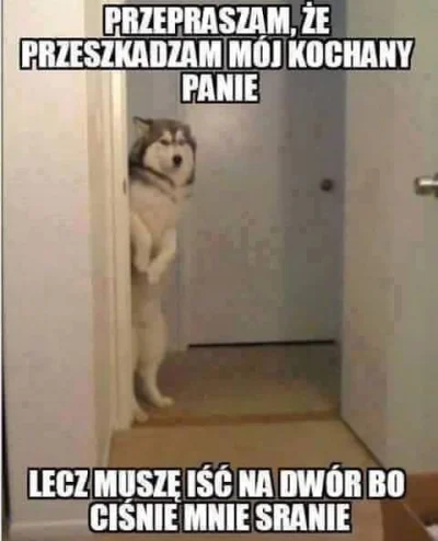 Kodia - Ja wiem Miraski, że to jest stare, ale za każdym razem jak to widzę to się śm...