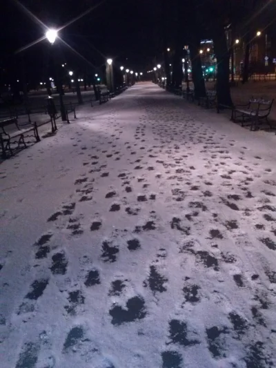 emdzi - tup, tup, tup po śniegu
#dziendobry #krakow #krakowzrana