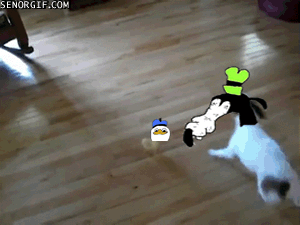 E.....n - #gif #humorobrazkowy #gooby #dolan