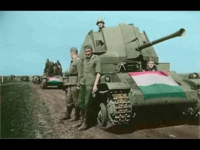 starnak - Hungarian Tanks & Vehicles : 1918 to 1945 - World War II (WoT)