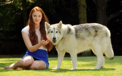 kicek3d - Nie siedź na ziemi bo złapiesz wilka ( ͡° ͜ʖ ͡°)
#ladnapani #sansa #sophie...