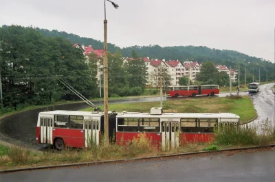w.....4 - #trolejbusboners #gdynia #trolejbusy