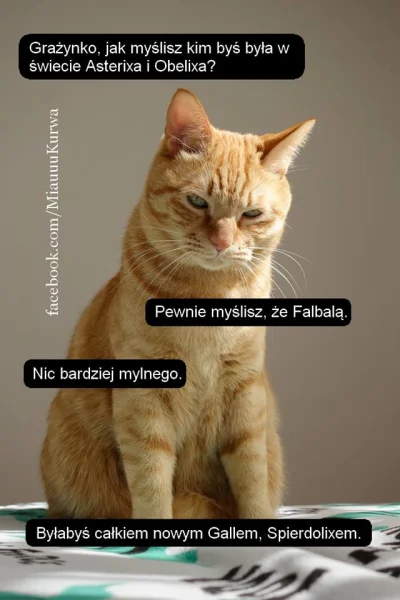 Xavax - #koty #rozowypasek #grazynka #heheszki #humorobrazkowy