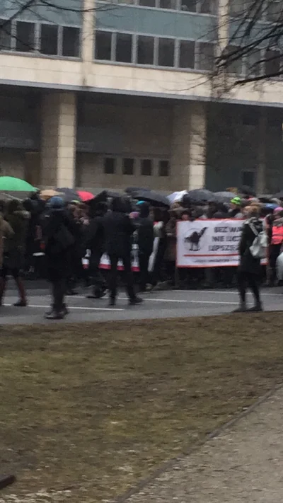 Tata_Stiflera - Bezstronnie z mikrodziennikarskiego obowiązku 
#poznan #czarnyprotest...