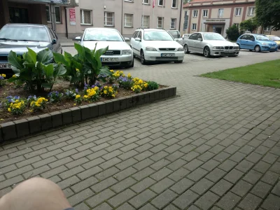 RedBulik - Co za kretyn wpadł na pomysł kwiatków na środku chodnika?
#architektura #w...