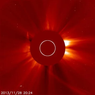 pyzdek - #ison Coś jakby się uchowało