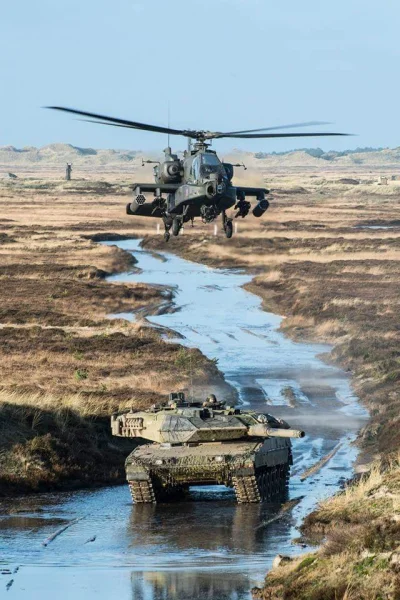 Pachlak - AH-64D i Leopard 2A5.

#ciekawostki #militaria #fotografia