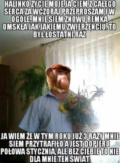 E.....n - #heheszki #humorobrazkowy #nosaczsundajski #polak #podrywajzwykopem