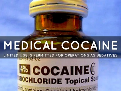 muslimhater - Tymczasem medyczna kokaina już dawno zalegalizowana...
SPOILER
