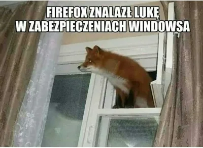 LadyMarcepan - #heheszki #humorobrazkowy #humorinformatykow #windows #firefox