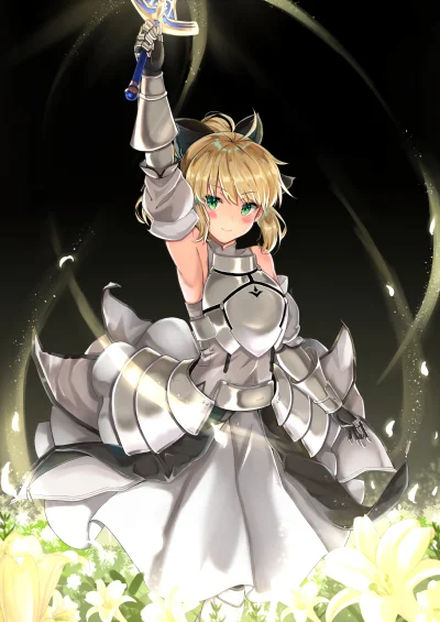 LlamaRzr - #randomanimeshit #fate #fategrandorder #fateunlimitedcodes #saber #saberli...