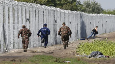 borikossss - > Jak to bedzie taka siatka jak na zdjeciu to raczej tylko na zwierzęta....