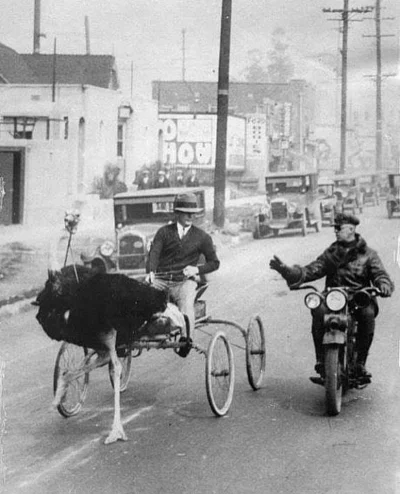 sropo - Policjant zatrzymuje strusi rydwan - Los Angeles 1930 rok
__________________...