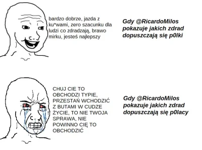 G.....t - Takie podsumowanie niektórych komentarzy pod najnowszym wpisem @RicardoMilo...