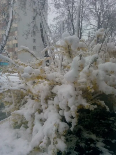 dlugi_ - @Dzonzi: pewnie że fejki. Nie ma żadnej zimy. Sytuacja w Kielcach jest stabi...