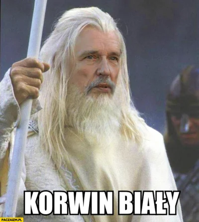 senkjuwerymacz - @Gandalf_bialy: Spieprzaj z mojego wątku, kurteczko-zamszowo uzurpat...