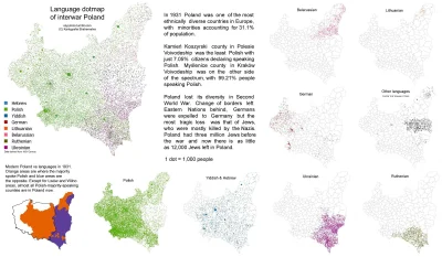 Lifelike - Mapa języków ojczystych mieszkańców Polski w 1931 roku. 

#geografia #hist...