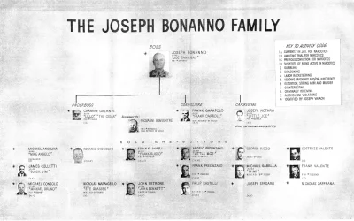 myrmekochoria - Grafika prezentująca hierarchię w syndykacie przestępczym rodziny Bon...