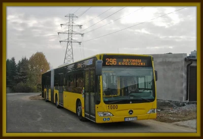 sylwke3100 - Linia: 296

Trasa: Węzłowiec Pętla(Siemianowice Śląskie) <-> Brynów Kośc...