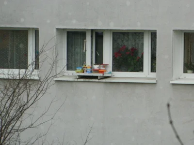 Altru - #heheszki #polacy 

Mirki powiedzcie mi po co kupować tyle żarcia?!
Sąsiad...