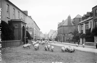 m.....q - Cork, ok. 1900

Więcej zdjęć:

http://imgur.com/a/zF2Hh

#irlandia #starezd...