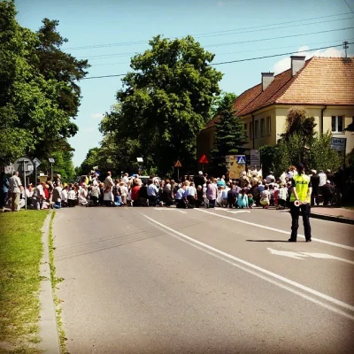 normanos - Ej, nie możecie klęczeć gdzieś w lesie? Blokujecie całe miasto...

#pdk ...