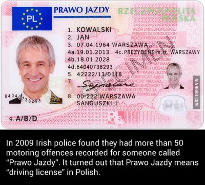 Grzmihui - #polska #heheszki #9gagaledobre #emigracja