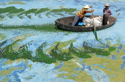 ColdMary6100 - Impresjonizm na żywo. Silnie zanieczyszczone, pokryte algami jezioro n...