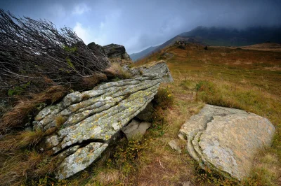 Pachlak - @SPGM1903: Bieszczady mówisz...



Wrześniowe Bukowe Berdo:



#fotografia ...