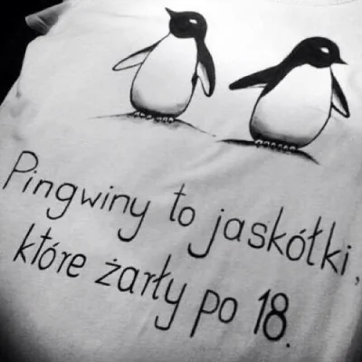 zKrainyDeszczowcow - #truestory #heheszki #pingwiny