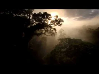 morgon - Tiësto - Ten Seconds Before Sunrise 
#trance #muzyka #muzykaelektroniczna